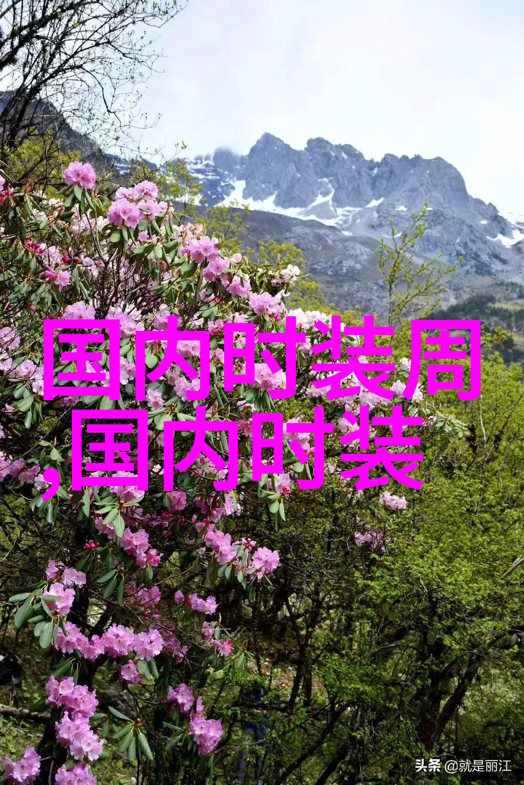 2015秋冬上海时装周RICOLEE秀场