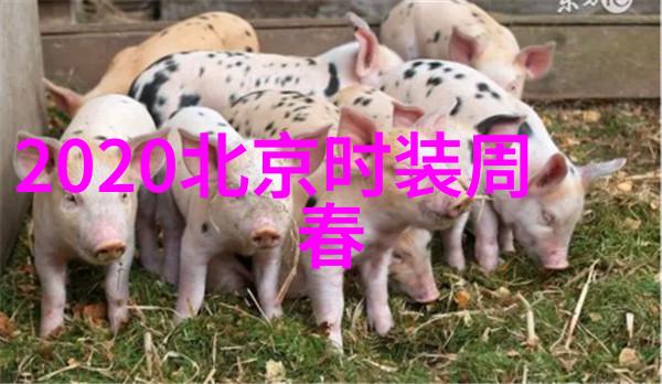 欧蕙限定礼盒水润奢护映耀宝石光感肌肤